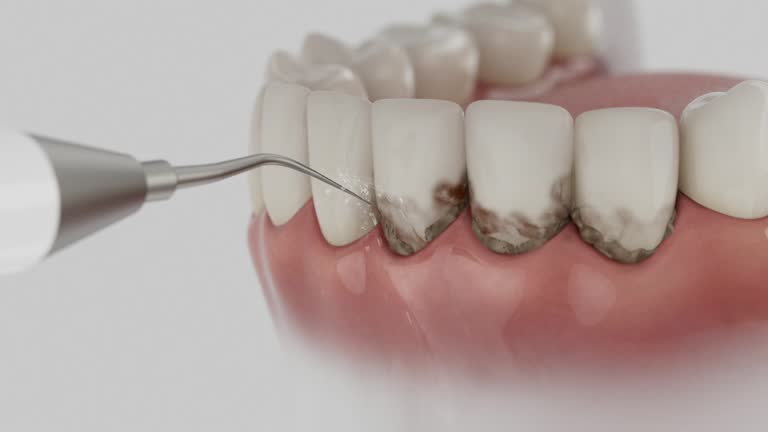 Reliable Dental contractor in Portland, MI by Dentist Open Now